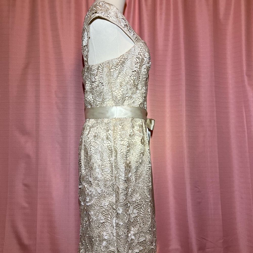 Adrianna Papell Cream lace cap sleeve dress | 8 - Picture 3 of 7